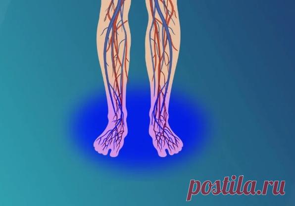 5 странных привычек, которые способны продлить жизнь 5 странных привычек, которые способны продлить жизнь
Вы когда нибудь задумывались: как некоторые люди так долго живут на нашей земле? Есть такие люди, которые соблюдают хорошие привычки, помогающие в …