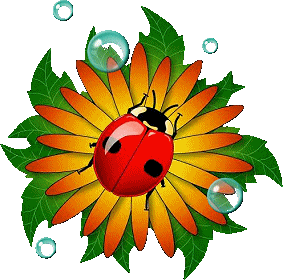 картинки божья коровка прикольные - Поиск в Google