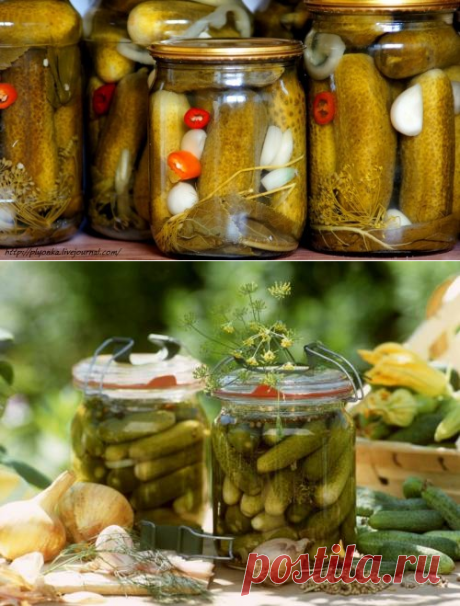 Маринованные огурцы – рецепты любимой закуски с фото / Простые рецепты