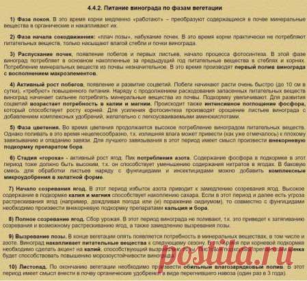 ПИТАНИЕ ВИНОГРАДА ПО ФАЗАМ ВЕГЕТАЦИИ
Сохраните к себе на стену и распечатайте на принтере, чтобы не потерять!