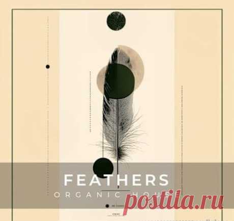 Zenhiser Feathers - Organic House [WAV] free download mp3 music 320kbps