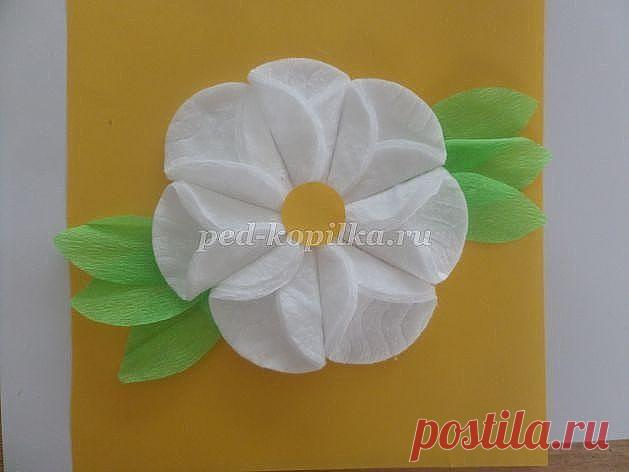 Идейка для поделок . Сделайте с детьми , при помощи ватных дисков
#поделки