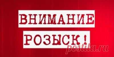 В Находке всю ночь искали загулявшую девочку - 4 Июля 2015 - Regiondv.com