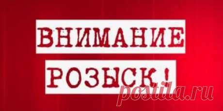 В Находке всю ночь искали загулявшую девочку - 4 Июля 2015 - Regiondv.com