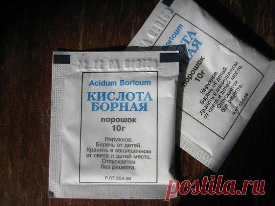 * Борная кислота:
Очень нужна в дачном хозяйстве. Если загнивают плоды кабачков или цуккини, если томаты в теплице переживают стресс от жары, если не завязываются плоды у перца и баклажана, если мало завязей на огурцах, делайте раствор борной кислоты и опрыскивайте растения. Рецепт таков: 2 г борной кислоты тщательно размешать в 500 мл горячей воды и долить до 10 л прогретой на солнце водой.
* Глюкоза и витамин В1:
Добавляю в удобрительные поливы особо ценных комнатных и кадочных растений. На 5