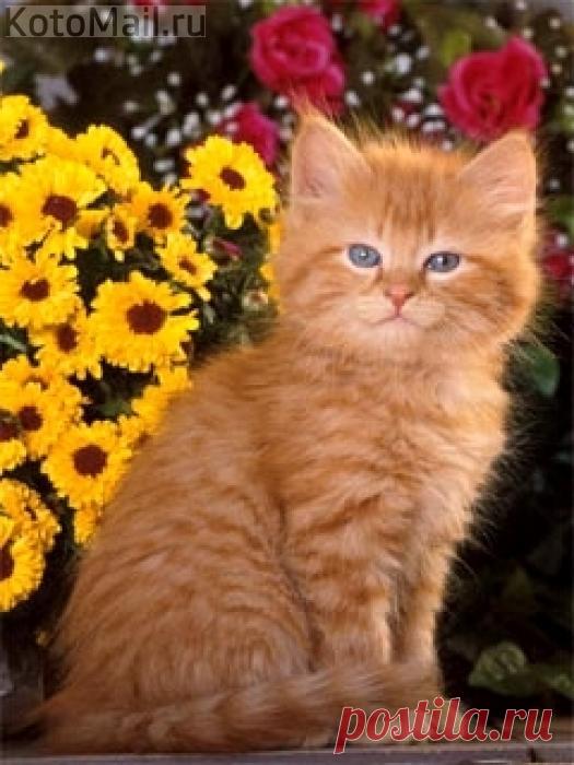 Всем доброе утро!