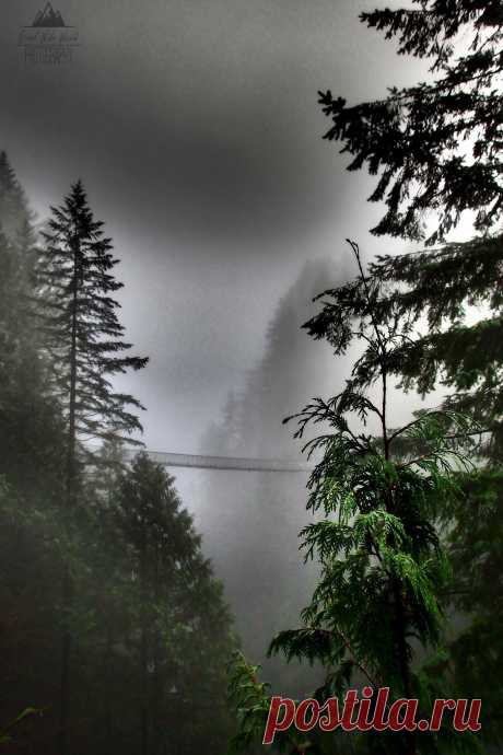 Anything From Mauka To Makai - greatwideworldphoto: Bridge Through the Clouds |...