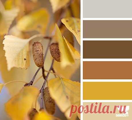 Design Seeds® | find your palette