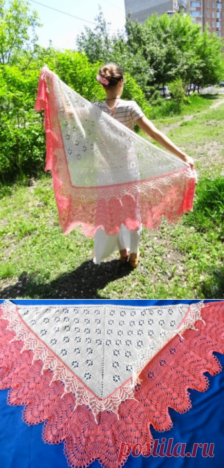 Нежная Мальва