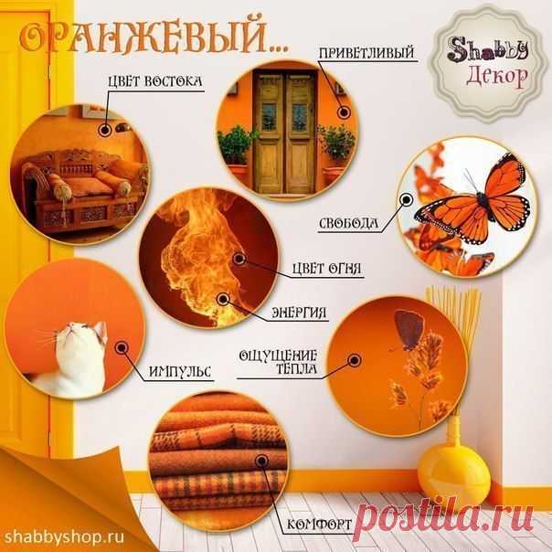 Фотографии на стене сообщества | 32 884 фотографии | ВКонтакте