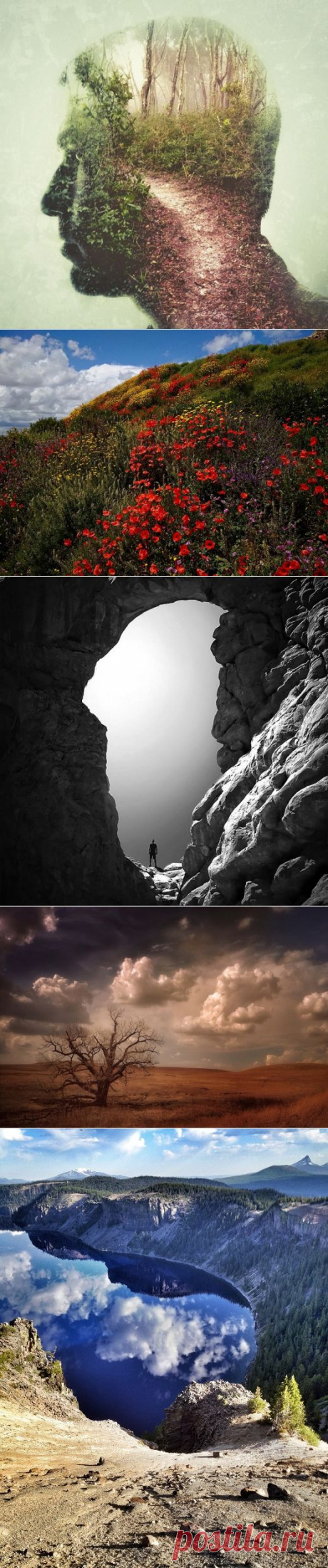 25 потрясающих фотографий финалистов конкурса iPhone Photography Awards 2015