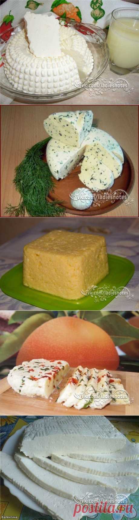 ТОР - 14 Подборка вкусных домашних сыров!
