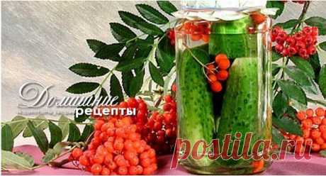 20 супер рецептов огурцов на зиму!