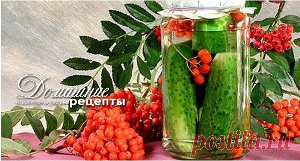 20 супер рецептов огурцов на зиму!