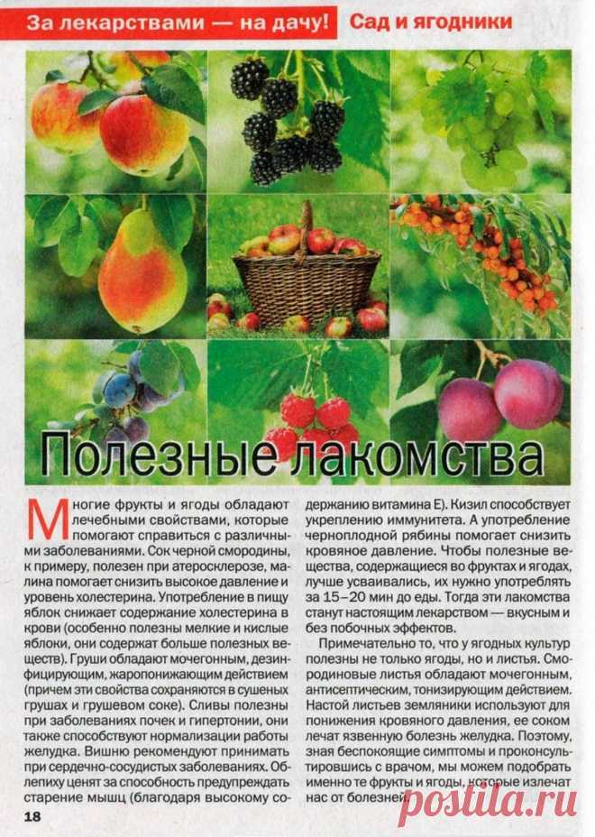 Фрукты и ягоды полезные лакомства