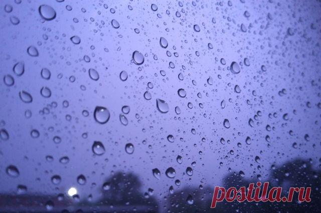 2025--ЗИМНИЙ ДОЖДЬ. Профессор - о погодных АНОМАЛИЯХ и их влиянии на урожай Дачникам, если не лениться, можно заранее подготовиться к сюрпризам весны, считает ученый.