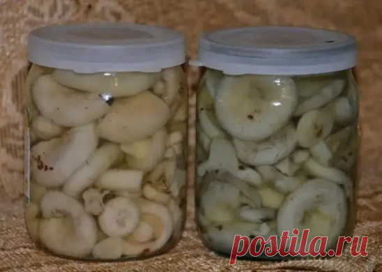 Грузди соленые
