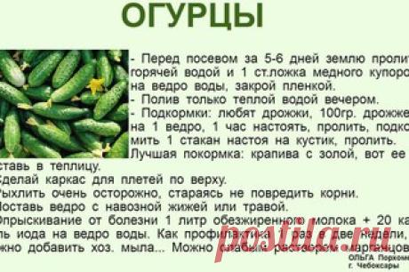 ПОЛЕЗНЫЕ СОВЕТЫ : 
✪ Сохраните чтобы не потерять.
Просроченные лекарства для сада-огорода

От нематоды помогут избавиться лекарства против гельминтов (растолките две-три таблетки и растворите в 10 л воды). Полейте этим раствором зараженные посадки, и нематоды быстро погибнут. Эти же таблетки помогут в борьбе с капустной мухой: двухтрех поливов будет достаточно.
Показать полностью…