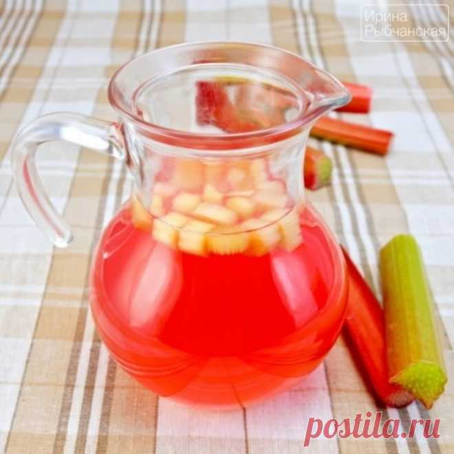 Рецепт компота из ревеня с фото и секретами приготовления