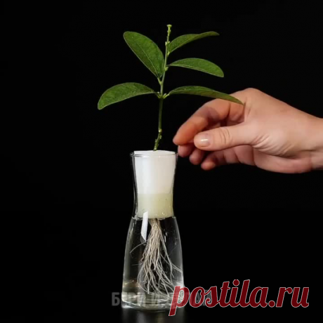 И почему я раньше этого не знал,это так просто!