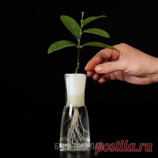 И почему я раньше этого не знал,это так просто!