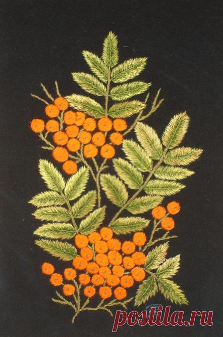 Яндекс.Фотки