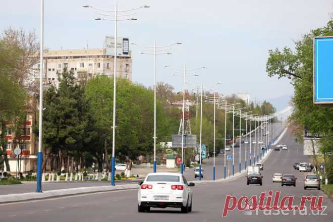 Пользоваться личным авто разрешат в определенное время суток – Газета.uz