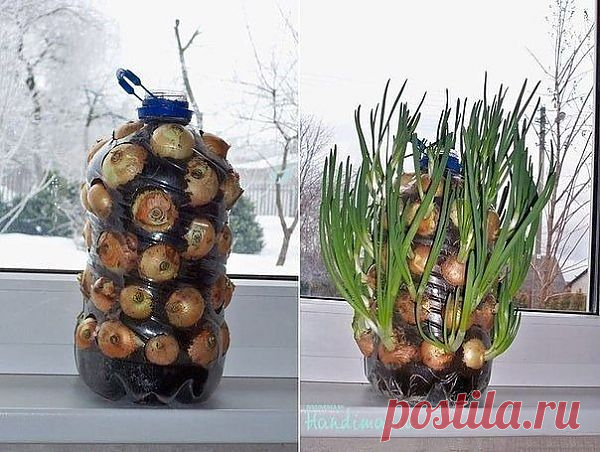 Отличная идея.