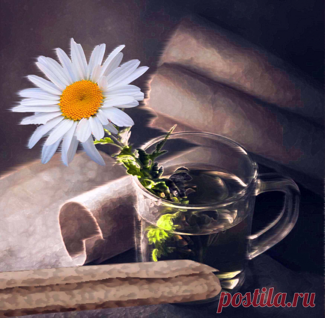 Мудрые откровения.