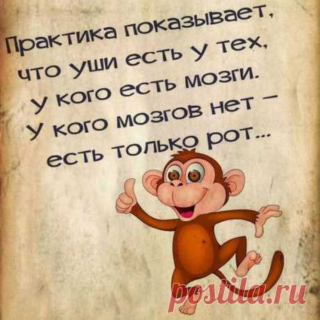 (40) Pinterest