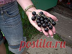 Найдено на сайте postila.ru.