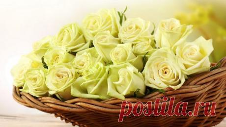 Красивые Цветы  Для Тебя