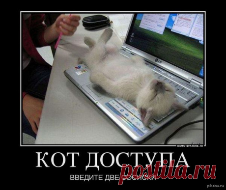 )))