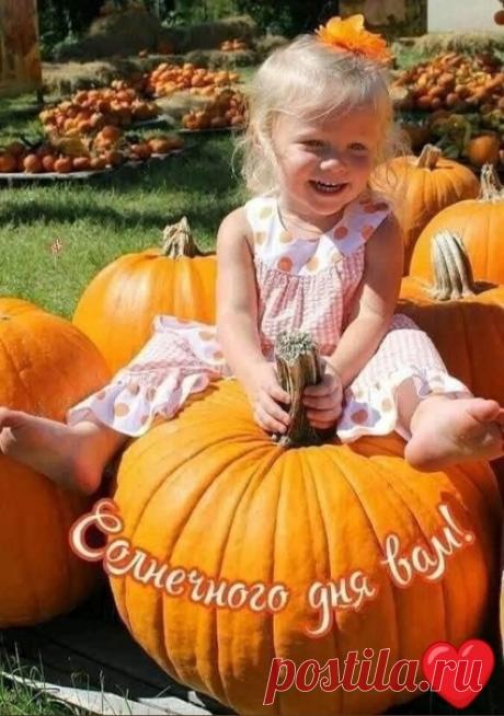 Где есть спокойствие - там есть и счастье.
Где свет в душе - там тьмы не будет никогда
И пусть судьба не в нашей власти,
Пусть мы не Боги, не живём на небесах,
Но в наших силах подарить кому-то Счастье
И поделиться искоркой тепла!
БеСеДкА
#стихи#литература#осень