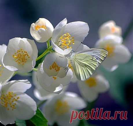 Самое интересное в мире: - natali5357@mail.ru - Почта Mail.Ru