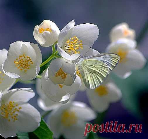 Самое интересное в мире: - natali5357@mail.ru - Почта Mail.Ru