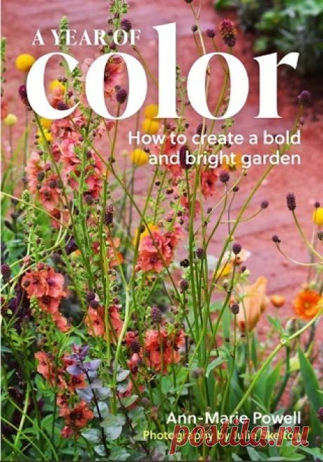 A Year of Color: How to create a bold and bright garden 2026