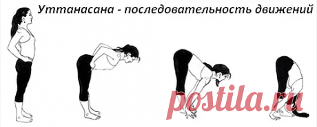 Это не шутка.ч.2.Растягиваем мышцы таза,чтобы спина была прямой. Достать до пола-не самоцель наклонов вперед из положения стоя. | Длядуши | Яндекс Дзен