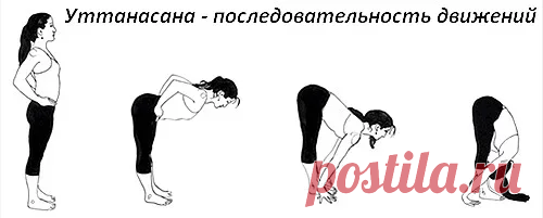 Это не шутка.ч.2.Растягиваем мышцы таза,чтобы спина была прямой. Достать до пола-не самоцель наклонов вперед из положения стоя. | Длядуши | Яндекс Дзен