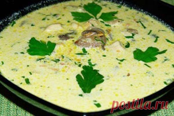 Сырный суп с шампиньонами - Пошаговый рецепт с фото своими руками Сырный суп с шампиньонами - Простой пошаговый рецепт приготовления в домашних условиях с фото. Сырный суп с шампиньонами - Состав, калорийность и ингредиенти вкусного рецепта.