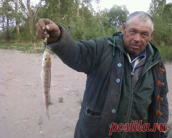 Сергей и Ольга Овсянник (Кибкало)
47 лет, Россия, Туманово