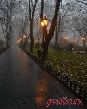 Пин на доске AUTUMNAL