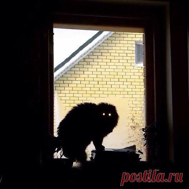 Мой Мир@Mail.Ru