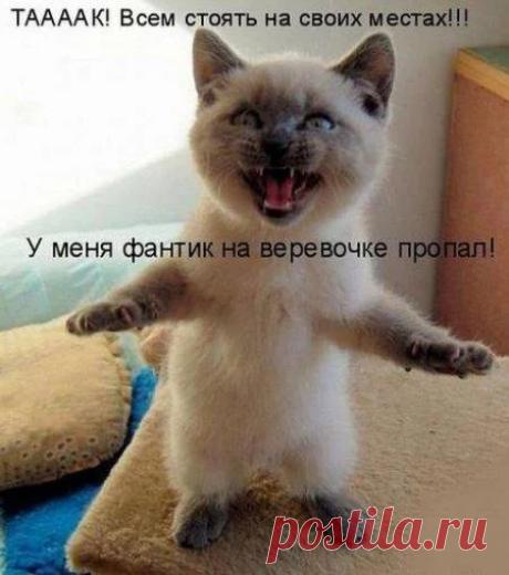Google+