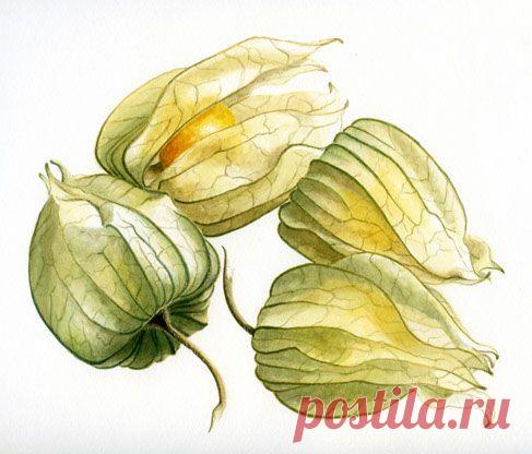 cUAzBDe9q2c.jpg (487×416)