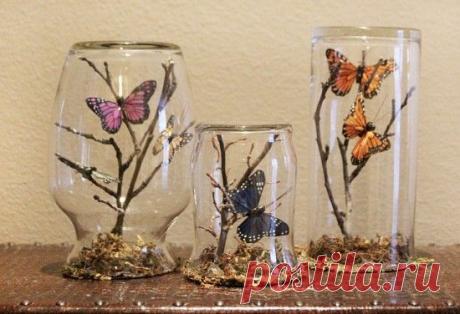 Бабочка Банки | WHOot