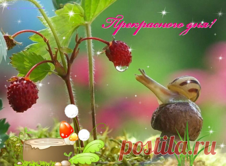Прекрасного дня!