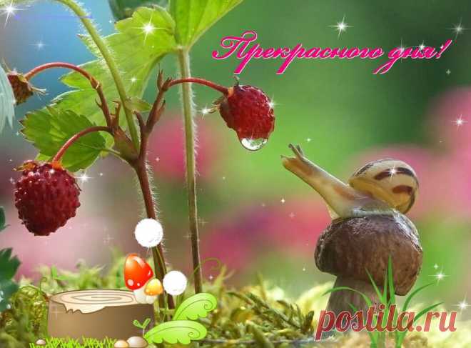 Прекрасного дня!