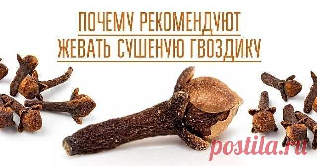 В ОБЯЗАТЕЛЬНОМ ПОРЯДКЕ ЖУЮ СУШЕНУЮ ГВОЗДИКУ!