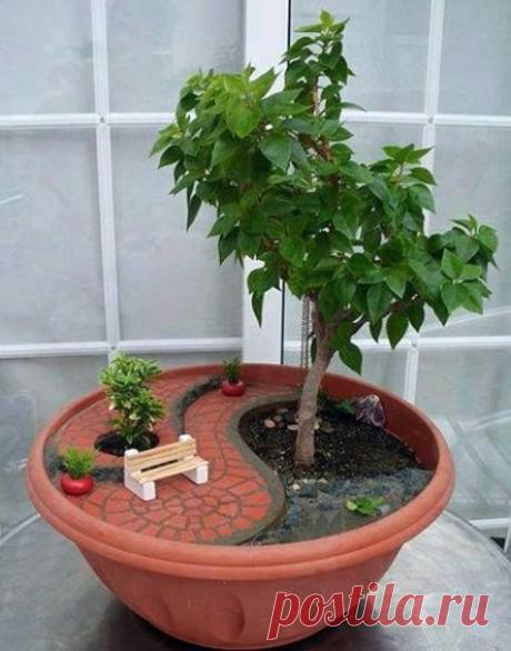 КАК ВЛИЯЕТ ЦВЕТ ПИЩИ НА БОЛЕЗНИ 1. Продукты белого цвета — молоко и молочные продукты, рис, чеснок, белокочанная капуста — успокаивают, снимают раздражительность и выводят через почки токсичные вещества. 2. Зеленые продукты (брокколи, листовые салаты, зеленый горошек, зеленый перец) положительно влияют на мозговую деятельность, снимают нервное напряжение. Хлорофилл, который производится в зеленых растениях под воздействием солнечной энергии, стимулирует образование полезных красных кровяных…